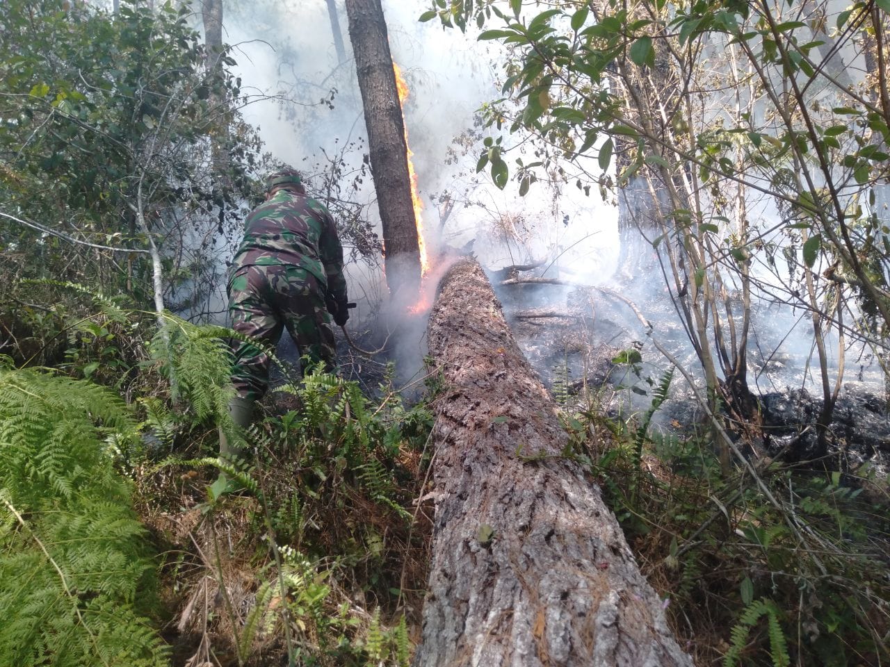 *Aksi Cepat Babinsa Kodim 1409/Gowa Bersama Warga Berhasil Gagalkan Meluasnya Karhutla di Bukit Pattappang*