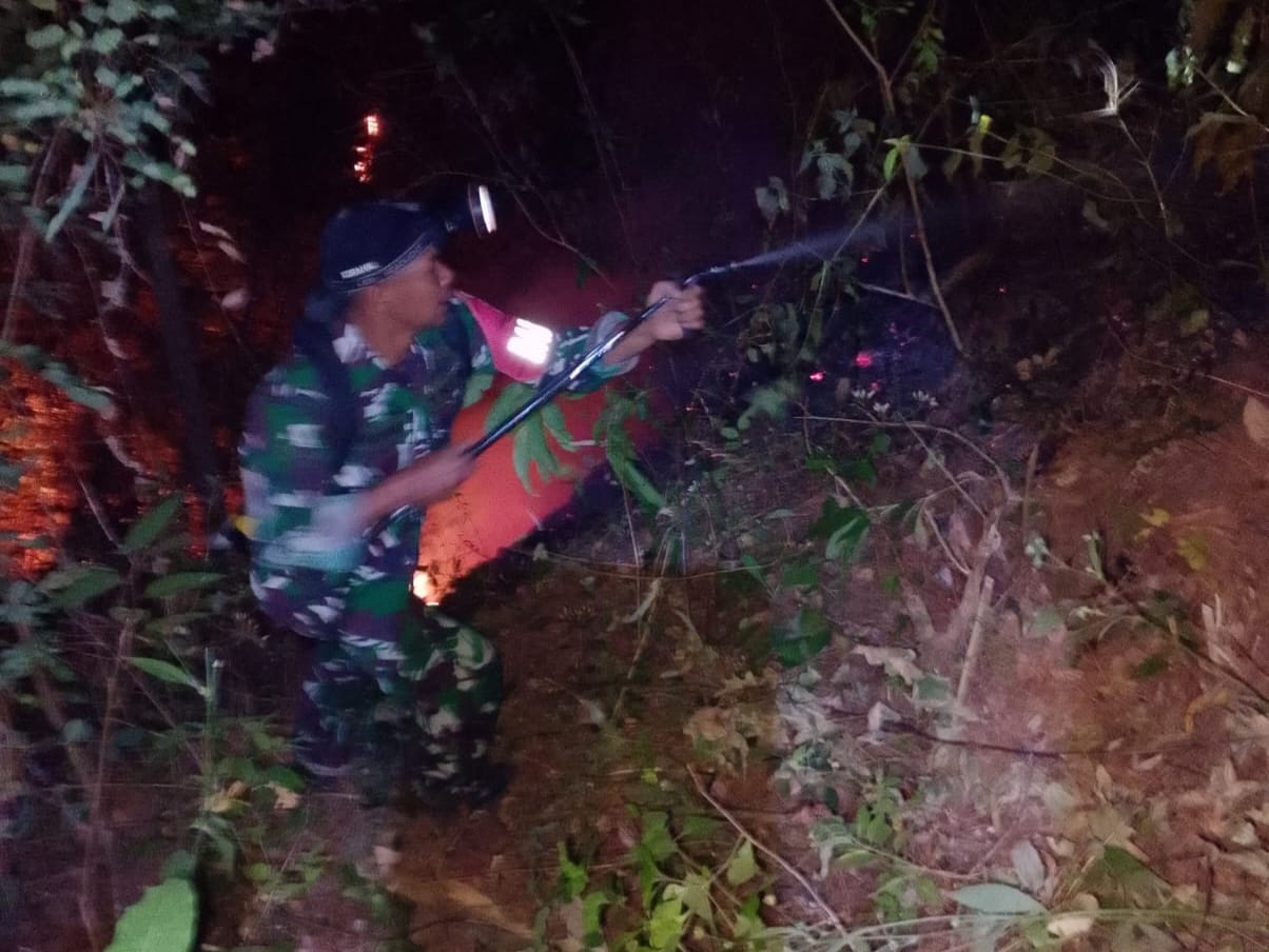 *Aksi Cepat Tim Gabungan Berhasil Jinakkan Kebakaran Hutan di Kecamatan Tinggimoncong Gowa*