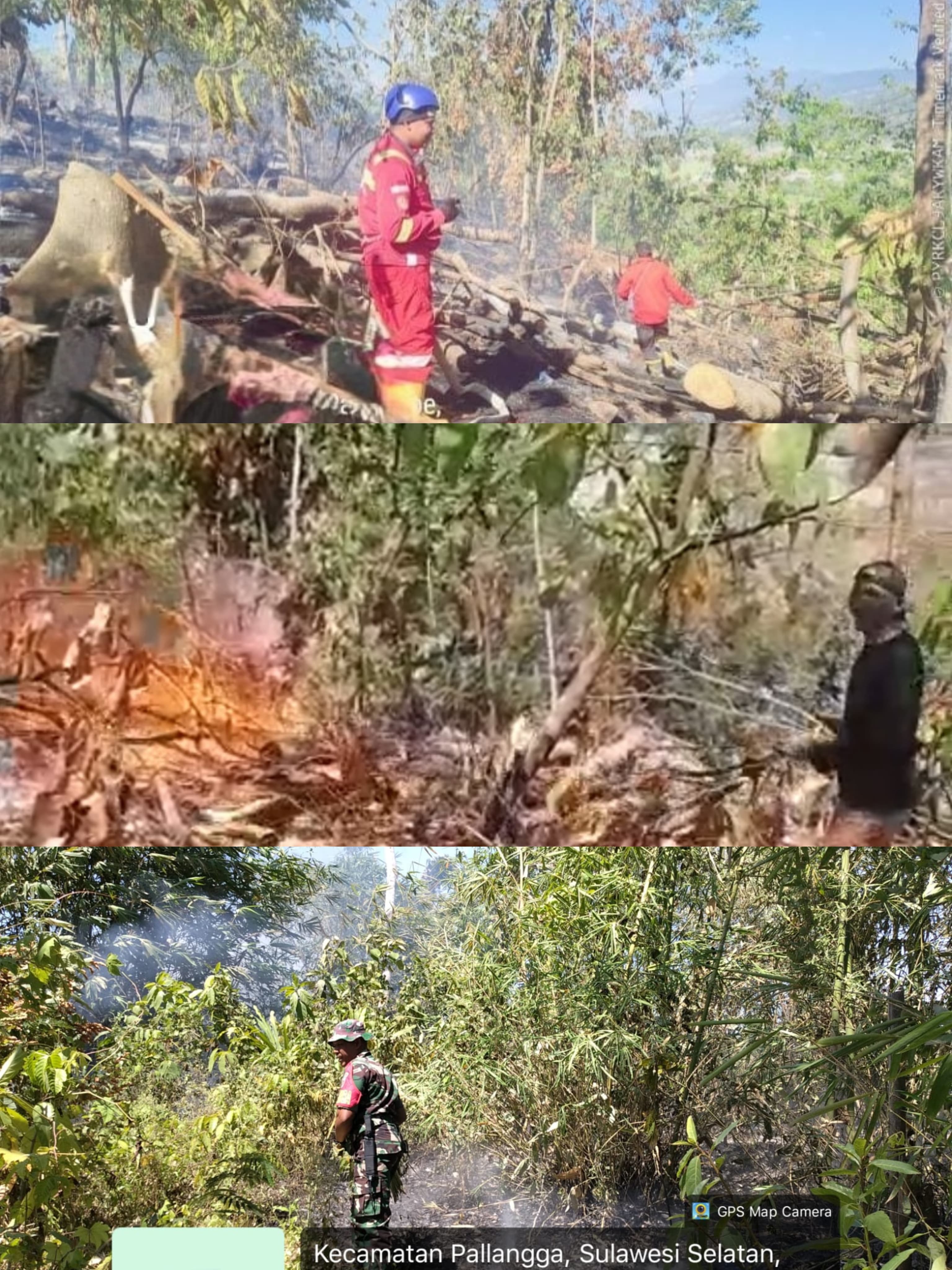 *Sinergi Tanpa Batas, Babinsa Kodim 1409/Gowa Bersama Tim Gabungan Sukses Padamkan Karhutla di Parangloe dan Pallangga*