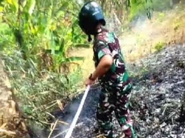 *Aksi Tanggap Kodim 1409/Gowa dan Tim Gabungan Jinakkan Api di Area Lapangan Golf*