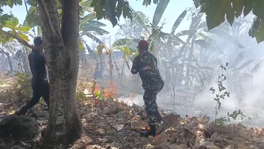 *Bersama Warga dan Damkar, Babinsa Kodim 1409/Gowa Halau Api yang Lahap Kebun Warga*