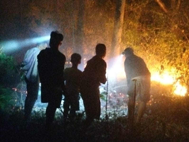 *Lahan Kebun Seluas 1,5 Hektar di Gowa Hangus Terbakar, Warga dan Babinsa Sigap Padamkan Api*