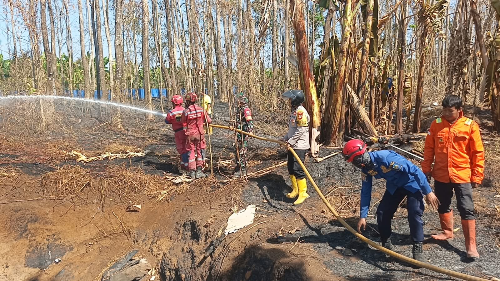 *Aksi Cepat Babinsa dan Damkar Padamkan Kebakaran Lahan Seluas 1 Hektar di Gowa*