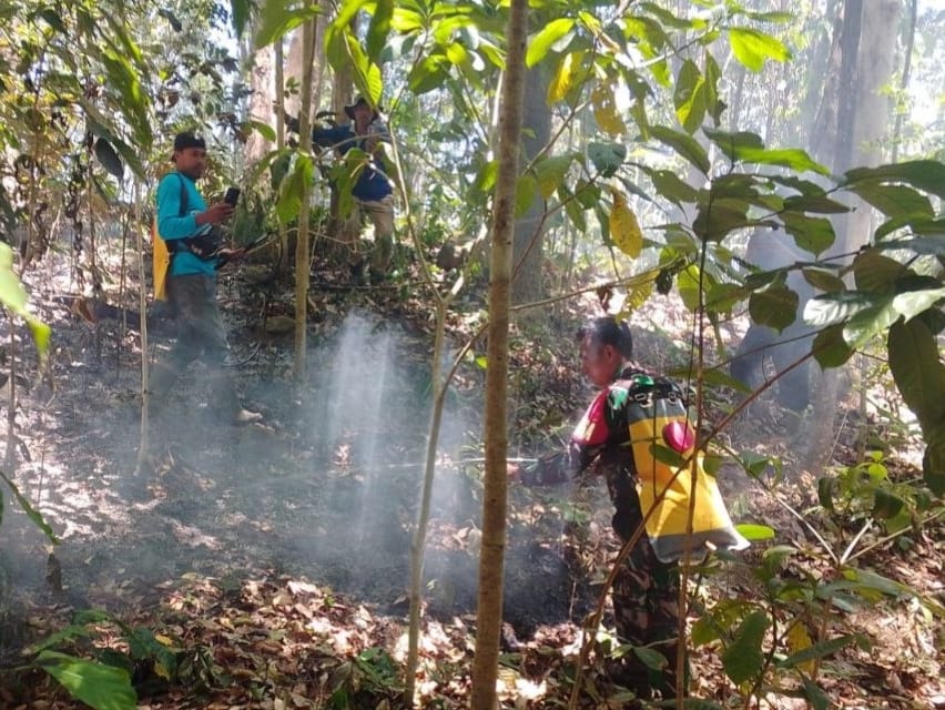 *Kesigapan Babinsa Bersama Warga Selamatkan Lahan Pinus dan Kopi dari Amukan Si Jago Merah*
